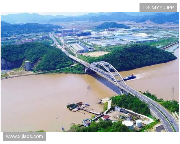 中国泳军新周期面临挑战 各项成绩能否突破仍悬而未决